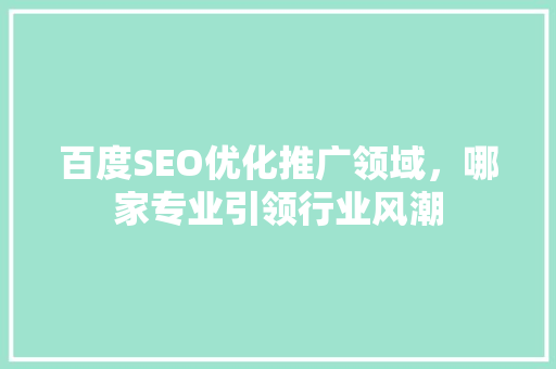 百度SEO优化推广领域，哪家专业引领行业风潮