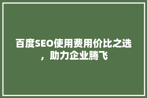 百度SEO使用费用价比之选，助力企业腾飞
