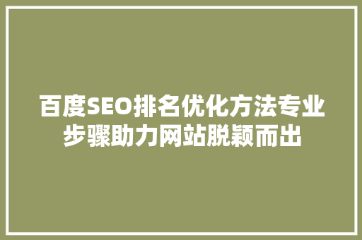 百度SEO排名优化方法专业步骤助力网站脱颖而出
