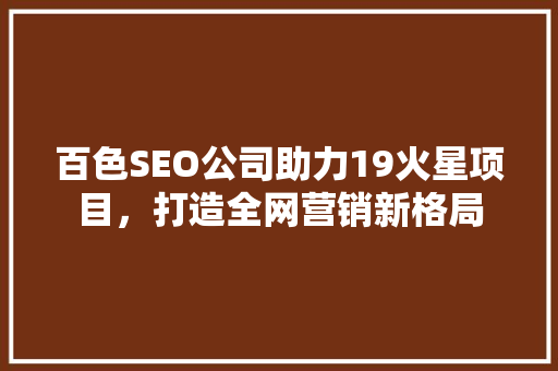 百色SEO公司助力19火星项目，打造全网营销新格局