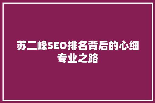 苏二峰SEO排名背后的心细专业之路  第1张