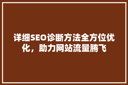 详细SEO诊断方法全方位优化，助力网站流量腾飞
