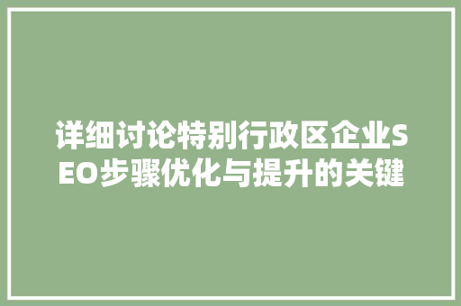 详细讨论特别行政区企业SEO步骤优化与提升的关键路径