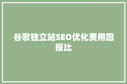 谷歌独立站SEO优化费用回报比