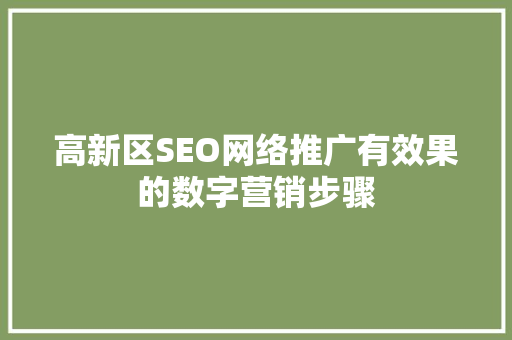 高新区SEO网络推广有效果的数字营销步骤