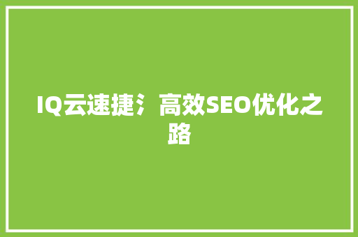 IQ云速捷氵高效SEO优化之路