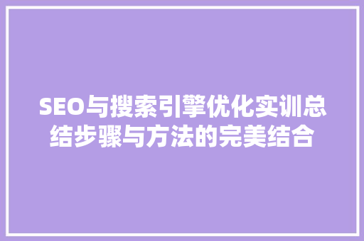 SEO与搜索引擎优化实训总结步骤与方法的完美结合