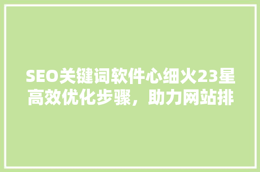 SEO关键词软件心细火23星高效优化步骤，助力网站排名飙升