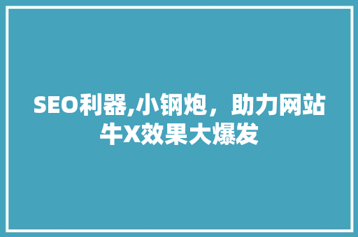 SEO利器,小钢炮，助力网站牛X效果大爆发