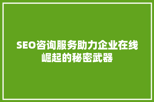 SEO咨询服务助力企业在线崛起的秘密武器