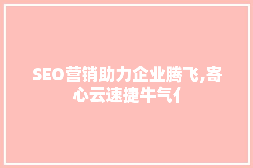 SEO营销助力企业腾飞,寄心云速捷牛气亻