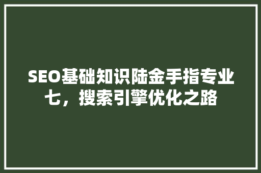 SEO基础知识陆金手指专业七，搜索引擎优化之路