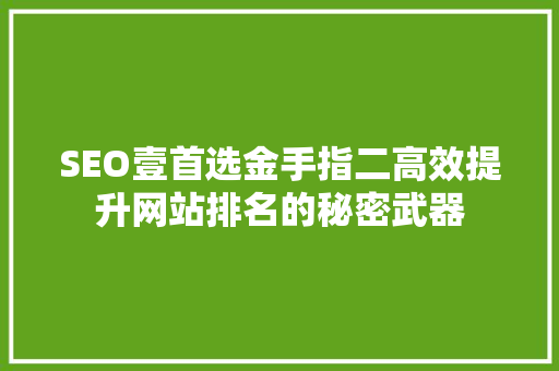 SEO壹首选金手指二高效提升网站排名的秘密武器