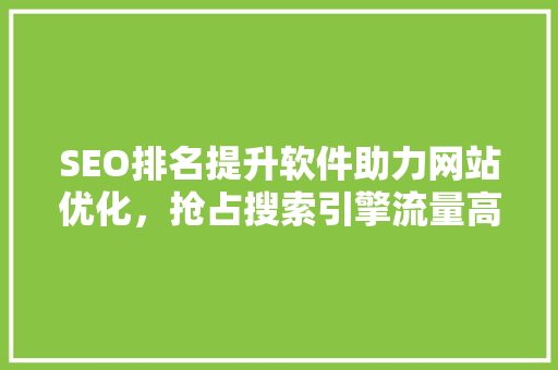 SEO排名提升软件助力网站优化，抢占搜索引擎流量高地