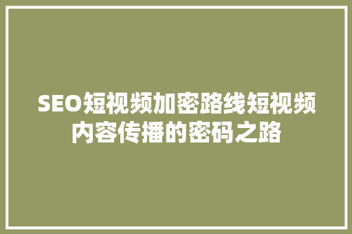 SEO短视频加密路线短视频内容传播的密码之路  第1张