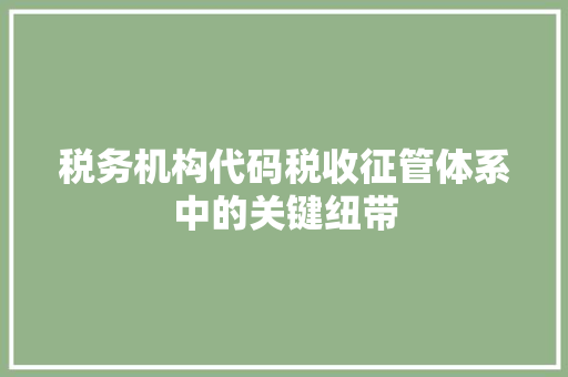 税务机构代码税收征管体系中的关键纽带