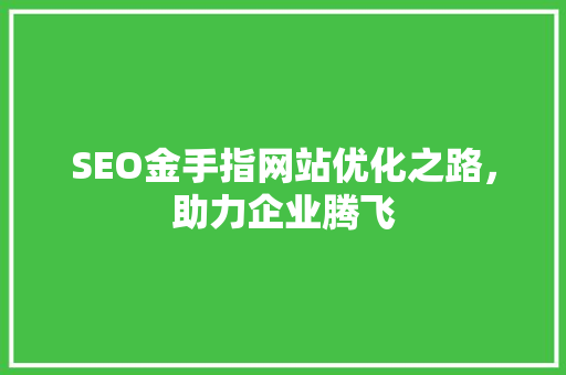 SEO金手指网站优化之路，助力企业腾飞