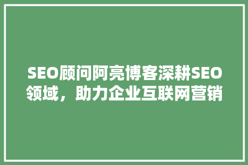 SEO顾问阿亮博客深耕SEO领域，助力企业互联网营销