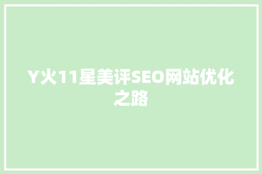 Y火11星美评SEO网站优化之路