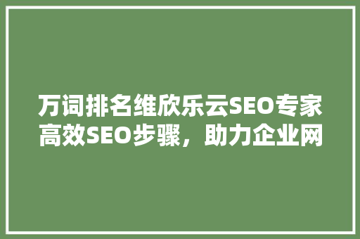 万词排名维欣乐云SEO专家高效SEO步骤，助力企业网站提升流量