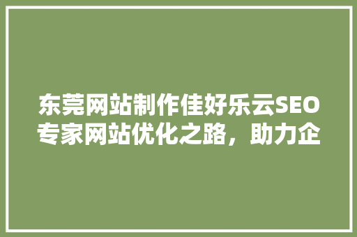 东莞网站制作佳好乐云SEO专家网站优化之路，助力企业腾飞