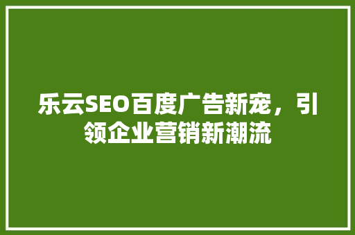 乐云SEO百度广告新宠，引领企业营销新潮流