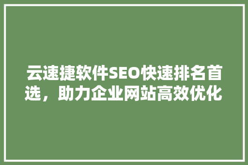 云速捷软件SEO快速排名首选，助力企业网站高效优化