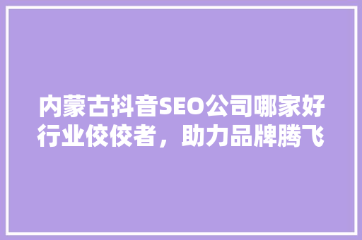 内蒙古抖音SEO公司哪家好行业佼佼者，助力品牌腾飞