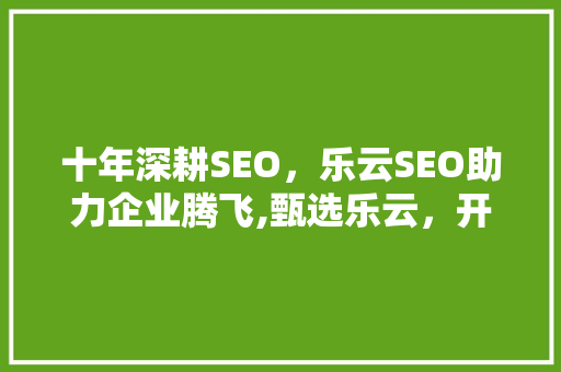 十年深耕SEO，乐云SEO助力企业腾飞,甄选乐云，开启数字化营销新时代