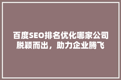 百度SEO排名优化哪家公司脱颖而出，助力企业腾飞