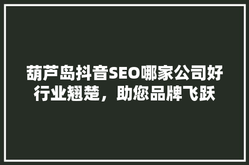 葫芦岛抖音SEO哪家公司好行业翘楚，助您品牌飞跃