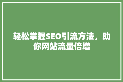 轻松掌握SEO引流方法，助你网站流量倍增