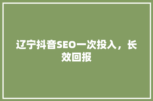 辽宁抖音SEO一次投入，长效回报