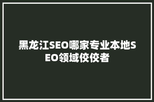 黑龙江SEO哪家专业本地SEO领域佼佼者