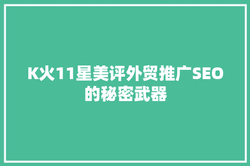 K火11星美评外贸推广SEO的秘密武器
