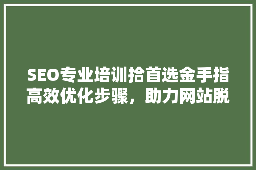 SEO专业培训拾首选金手指高效优化步骤，助力网站脱颖而出