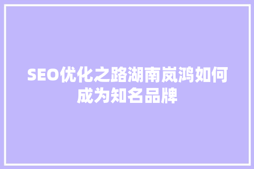 SEO优化之路湖南岚鸿如何成为知名品牌