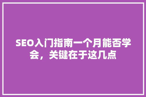 SEO入门指南一个月能否学会，关键在于这几点