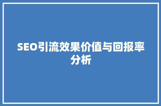 SEO引流效果价值与回报率分析