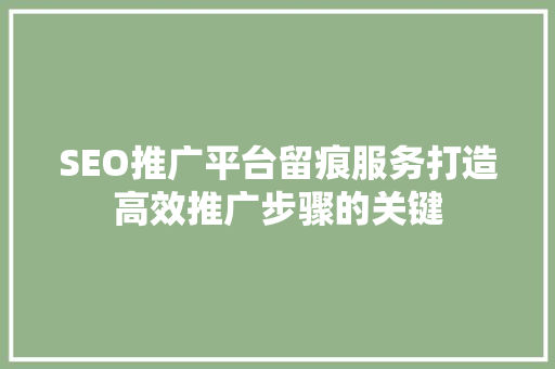 SEO推广平台留痕服务打造高效推广步骤的关键