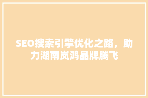 SEO搜索引擎优化之路，助力湖南岚鸿品牌腾飞