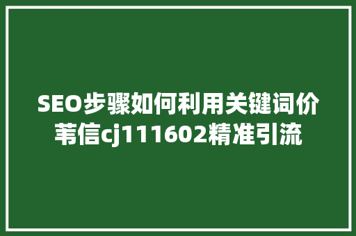 SEO步骤如何利用关键词价苇信cj111602精准引流