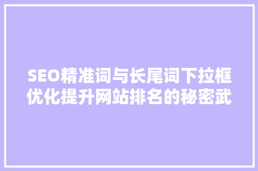 SEO精准词与长尾词下拉框优化提升网站排名的秘密武器