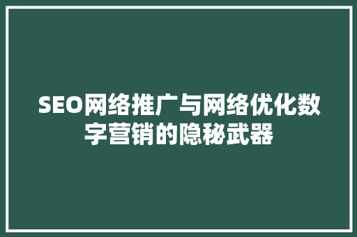 SEO网络推广与网络优化数字营销的隐秘武器