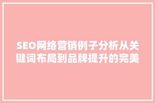 SEO网络营销例子分析从关键词布局到品牌提升的完美蜕变