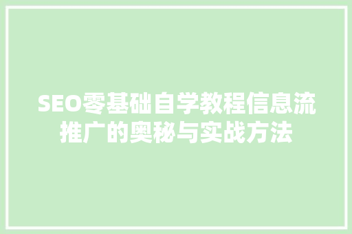 SEO零基础自学教程信息流推广的奥秘与实战方法