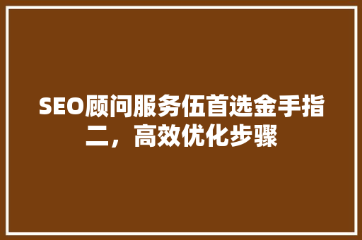 SEO顾问服务伍首选金手指二，高效优化步骤