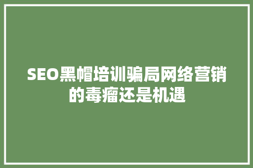 SEO黑帽培训骗局网络营销的毒瘤还是机遇