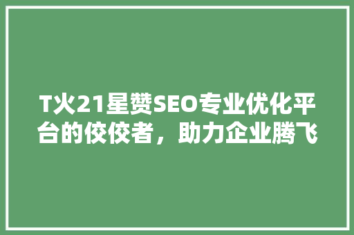 T火21星赞SEO专业优化平台的佼佼者，助力企业腾飞