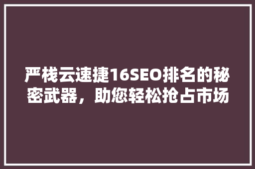 严栈云速捷16SEO排名的秘密武器，助您轻松抢占市场先机